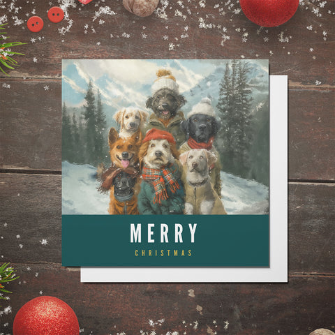 S.Golding Christmas Card | Dog Christmas Cards | Dogs dressed in coats on snowy mountain | Dog Xmas | Animal Xmas Card | Dog Christmas