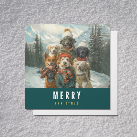 S.Golding Christmas Card | Dog Christmas Cards | Dogs dressed in coats on snowy mountain | Dog Xmas | Animal Xmas Card | Dog Christmas