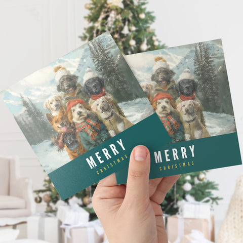 S.Golding Christmas Card | Dog Christmas Cards | Dogs dressed in coats on snowy mountain | Dog Xmas | Animal Xmas Card | Dog Christmas