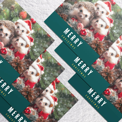 Hedgehog - Christmas Card by S.Golding