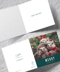 Hedgehog - Christmas Card by S.Golding