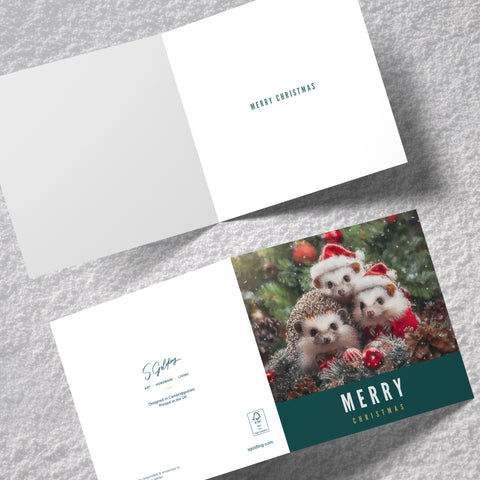 Hedgehog - Christmas Card by S.Golding
