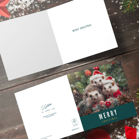 Hedgehog - Christmas Card by S.Golding