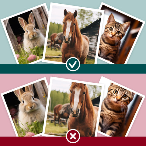 Pet Portraits UK Image Guide, the best angle guide by S.Golding